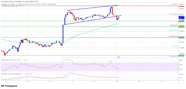 Цена Ethereum достигла нового максимума