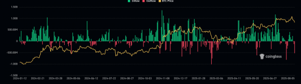 Что нужно знать о покупке и продаже акций Ark Invest Кэти Вуд в условиях коррекции рынка?
