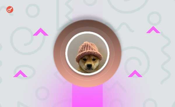 Оригинальную шапку из мема Dogwifhat продали за почти $800 000
